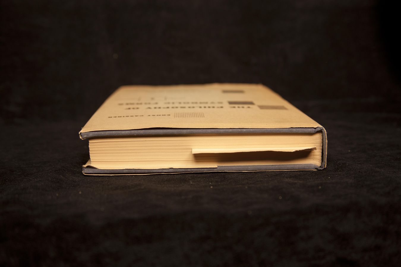 No OCR text available for image.