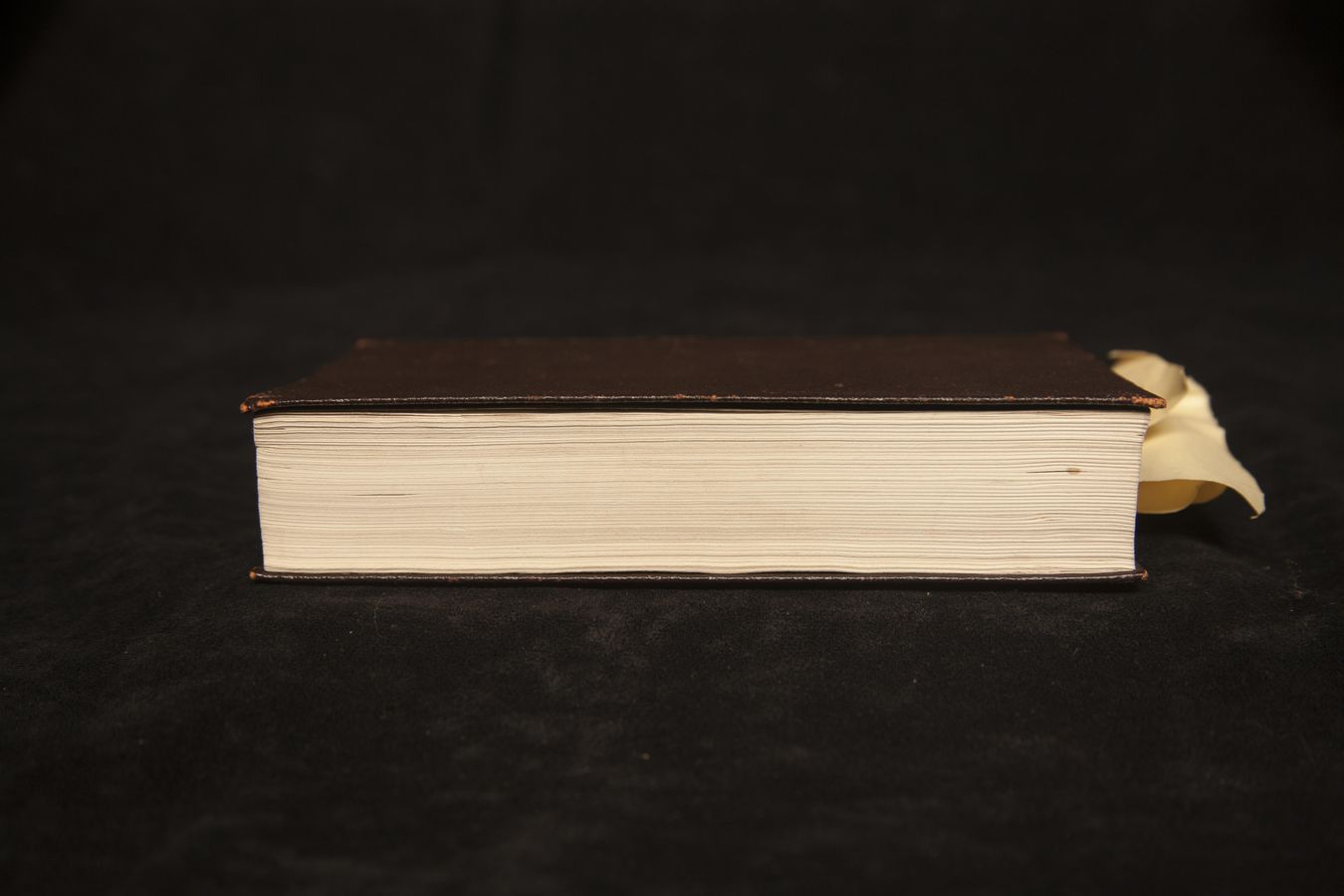 Page text (OCR generated): v p k. { . v I
ligili\ll1l1l ulilﬁl‘vnclovlv"
.[r x i \ It
{It
.u.¥f¢rl.: III. Ilyvl. i.
_:i It! all (k