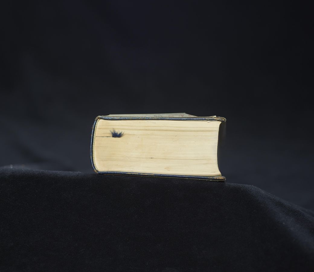 No OCR text available for image.