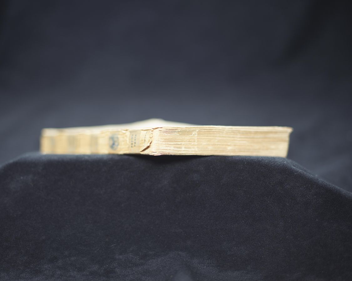 No OCR text available for image.